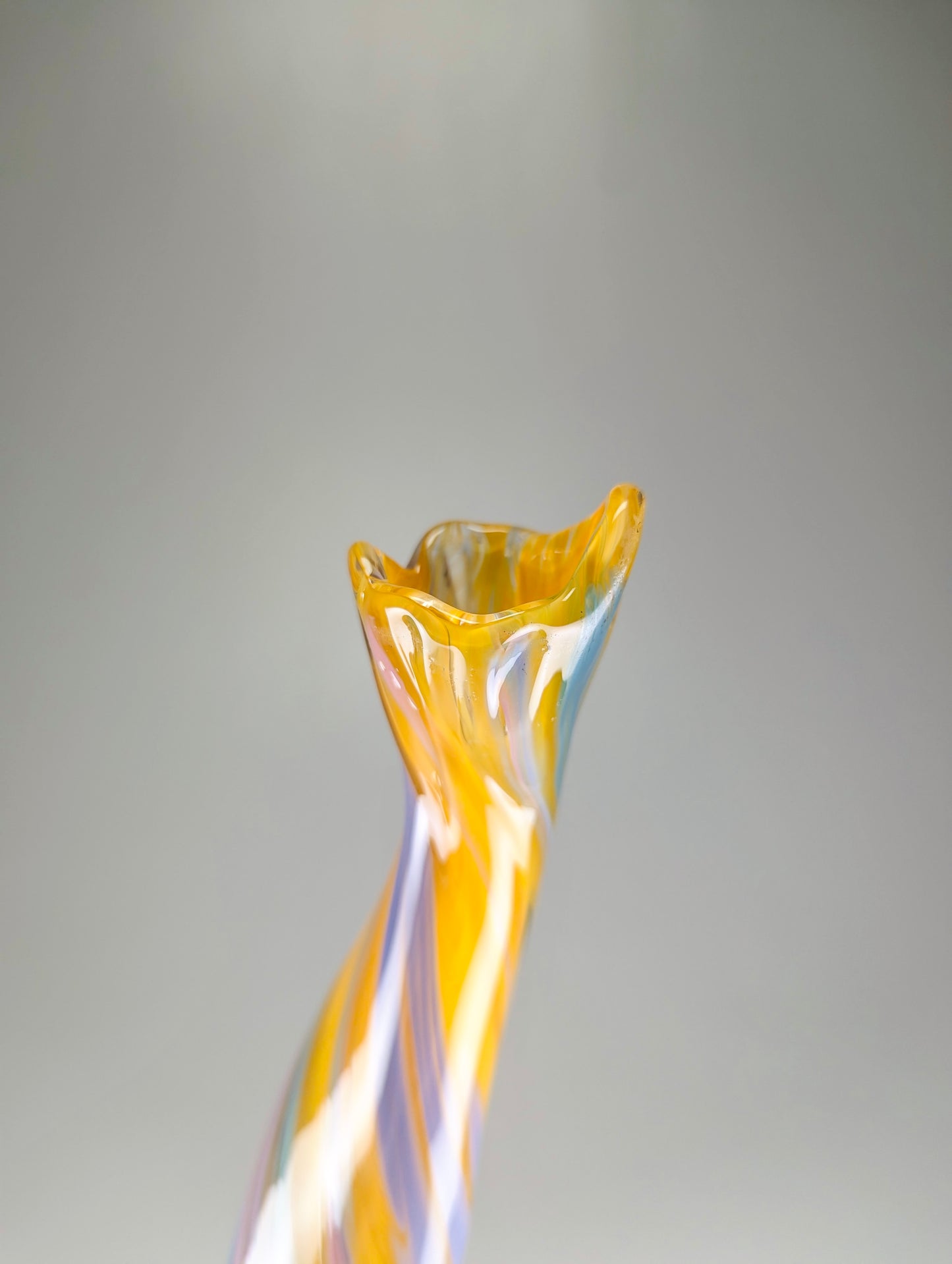 “Leucadendron” signature Rae and Elli vase