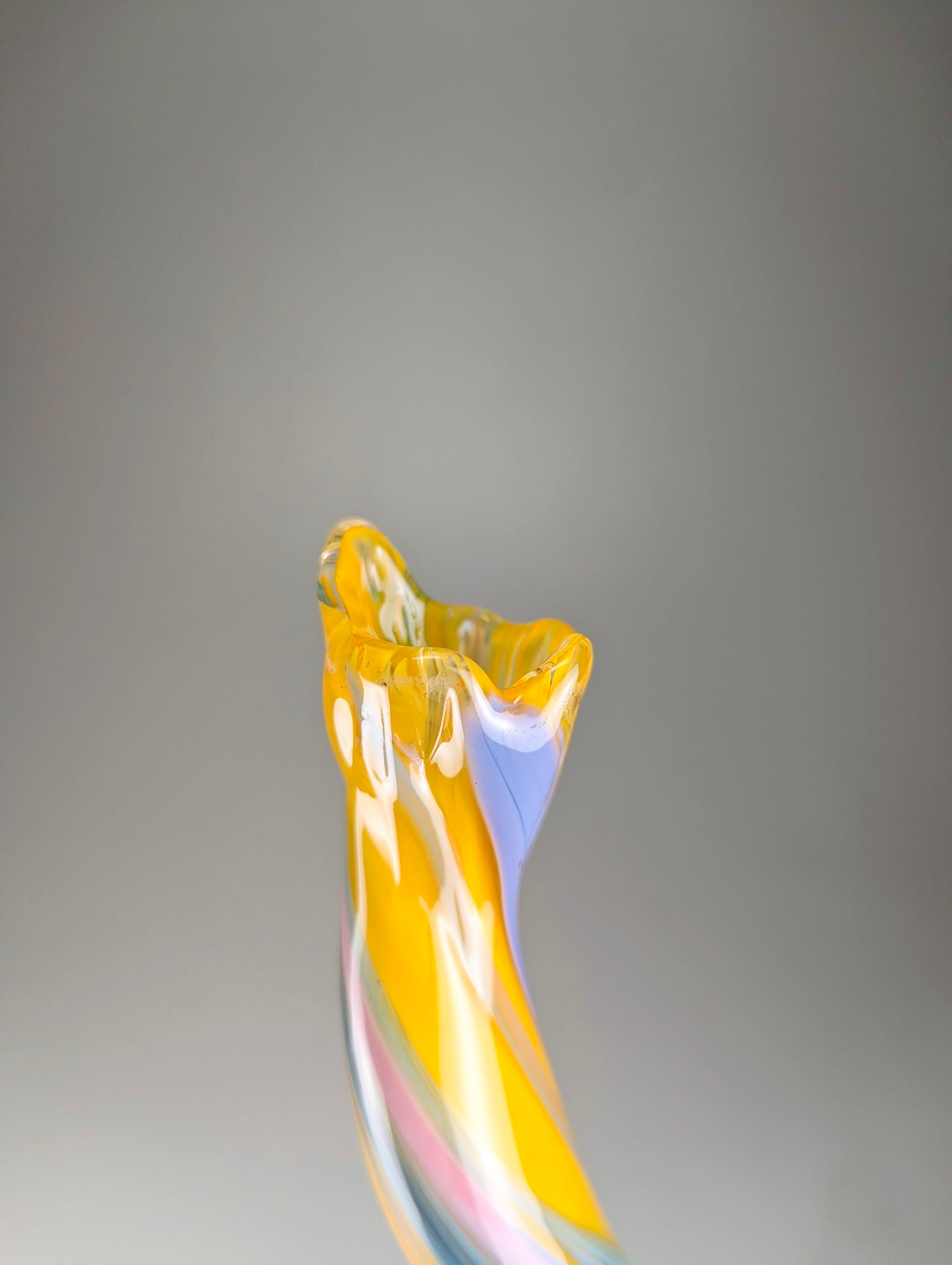 “Leucadendron” signature Rae and Elli vase